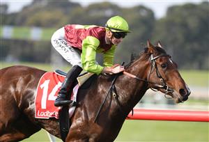 MELBOURNE, AUSTRALIA - MAY 01: Teodore Nugent riding Bons Abroad winning race 6, the Ladbrokes Punter Assist Handicap, during Melbourne Racing at Sandown Hillside on May 01, 2021 in Melbourne, Australia. (Photo by Vince Caligiuri/Getty Images)