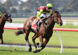 MELBOURNE, AUSTRALIA - MAY 01: Teodore Nugent riding Bons Abroad winning race 6, the Ladbrokes Punter Assist Handicap, during Melbourne Racing at Sandown Hillside on May 01, 2021 in Melbourne, Australia. (Photo by Vince Caligiuri/Getty Images)
