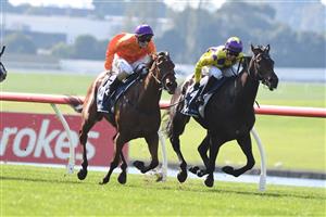 MELBOURNE, AUSTRALIA - MAY 01: Carleen Hefel riding Altai Ranger winning Race 3, the Ive Print Handicap, during Melbourne Racing at Sandown Hillside on May 01, 2021 in Melbourne, Australia. (Photo by Vince Caligiuri/Getty Images)