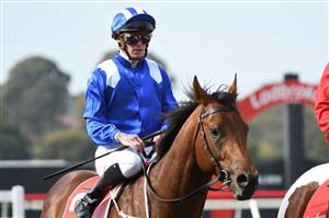 MELBOURNE, AUSTRALIA - MAY 01: Blaike McDougall after riding Qeyaady to win Race 1, the Ladbrokes Handicap, during Melbourne Racing at Sandown Hillside on May 01, 2021 in Melbourne, Australia. (Photo by Vince Caligiuri/Getty Images)