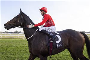 SYDNEY, AUSTRALIA - MAY 01: Sam Clipperton on Exoboom Returns to scale after winning race 7 the Blacktown Workers Club Group Hawkesbury Guineas during Hawkesbury Cup Race Day at Hawkesbury Race Club on May 01, 2021 in Sydney, Australia. (Photo by Jenny Evans/Getty Images)