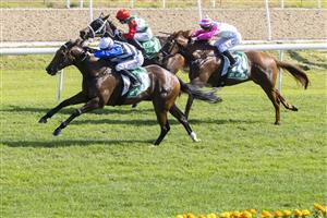 SYDNEY, AUSTRALIA - MAY 01: Joshua Parr (blue) on Steely wins race 2 the Blakes Marine Benchmark 78 Handicap during Hawkesbury Cup Race Day at Hawkesbury Race Club on May 01, 2021 in Sydney, Australia. (Photo by Jenny Evans/Getty Images)