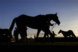 SYDNEY, AUSTRALIA - MAY 01: Horses and jockeys return to scale after the running of race 9 the Happy 70Th Evelyn Benchmark 78 Handicap during Hawkesbury Cup Race Day at Hawkesbury Race Club on May 01, 2021 in Sydney, Australia. (Photo by Jenny Evans/Getty Images)