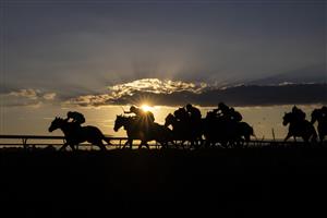 SYDNEY, AUSTRALIA - MAY 01: Horses are silhouetted for the running of race 9 the Happy 70Th Evelyn Benchmark 78 Handicap during Hawkesbury Cup Race Day at Hawkesbury Race Club on May 01, 2021 in Sydney, Australia. (Photo by Jenny Evans/Getty Images)