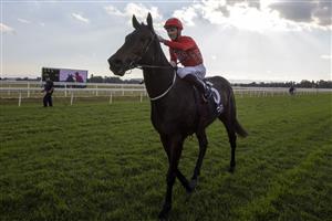 SYDNEY, AUSTRALIA - MAY 01: Sam Clipperton on Exoboom Returns to scale after winning race 7 the Blacktown Workers Club Group Hawkesbury Guineas during Hawkesbury Cup Race Day at Hawkesbury Race Club on May 01, 2021 in Sydney, Australia. (Photo by Jenny Evans/Getty Images)