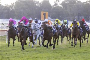 SYDNEY, AUSTRALIA - MAY 01: Josh Parr on Archedemus wins wins race 8 the Evergreen Turf Hawkesbury Gold Cup during Hawkesbury Cup Race Day at Hawkesbury Race Club on May 01, 2021 in Sydney, Australia. (Photo by Jenny Evans/Getty Images)