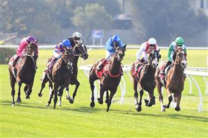MELBOURNE, AUSTRALIA - MAY 01: John Allen riding Grand Promenade (r) leading around the home turn before winning Race 4, the Ladbroke It Handicap, during Melbourne Racing at Sandown Hillside on May 01, 2021 in Melbourne, Australia. (Photo by Vince Caligiuri/Getty Images)