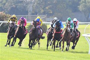 MELBOURNE, AUSTRALIA - MAY 01: John Allen riding Grand Promenade (r) leading around the home turn before winning Race 4, the Ladbroke It Handicap, during Melbourne Racing at Sandown Hillside on May 01, 2021 in Melbourne, Australia. (Photo by Vince Caligiuri/Getty Images)