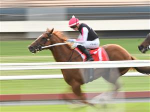 MELBOURNE, AUSTRALIA - MAY 01: Lachlan King riding Spring Choice winning Race 8, the Ladbrokes Easy Form Handicap, during Melbourne Racing at Sandown Hillside on May 01, 2021 in Melbourne, Australia. (Photo by Vince Caligiuri/Getty Images)