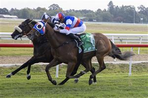 SYDNEY, AUSTRALIA - MAY 01: Nash Rawiller on Golden Gorge wins race 3 the TAB Highway Handicap during Hawkesbury Cup Race Day at Hawkesbury Race Club on May 01, 2021 in Sydney, Australia. (Photo by Jenny Evans/Getty Images)