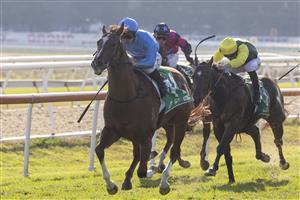 SYDNEY, AUSTRALIA - MAY 01: Tim Clark on Embracer wins race 6 the Hawkesbury XXXX Gold Rush during Hawkesbury Cup Race Day at Hawkesbury Race Club on May 01, 2021 in Sydney, Australia. (Photo by Jenny Evans/Getty Images)
