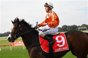 MELBOURNE, AUSTRALIA - MAY 01: Will Price riding Electric Belle after winning Race 7, the Ladbrokes Same Race Multi Handicap, during Melbourne Racing at Sandown Hillside on May 01, 2021 in Melbourne, Australia. (Photo by Vince Caligiuri/Getty Images)