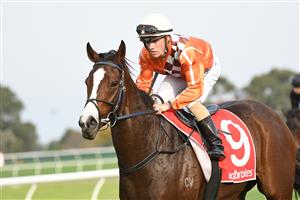 MELBOURNE, AUSTRALIA - MAY 01: Will Price riding Electric Belle after winning Race 7, the Ladbrokes Same Race Multi Handicap, during Melbourne Racing at Sandown Hillside on May 01, 2021 in Melbourne, Australia. (Photo by Vince Caligiuri/Getty Images)