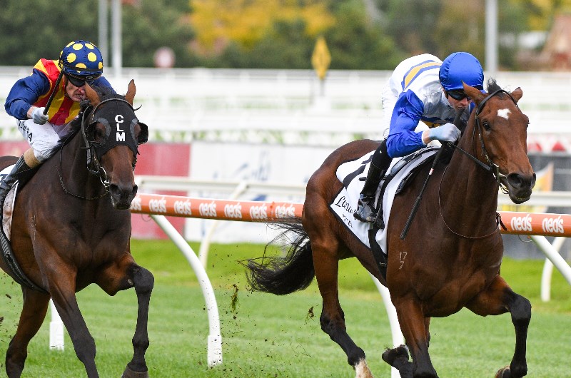South Australian Derby Barrier Draw