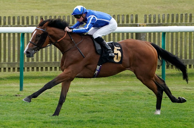 withhold stakes