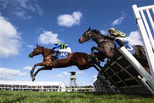 WARRNAMBOOL, AUSTRALIA - MAY 04: Steven Pateman riding Wil John winning RAce 2, the Cally Hotel Maiden Hurdle, on Brierly Day during the Warrnambool Jumps Carnival at Warrnambool Racing Club on May 04, 2021 in Warrnambool, Australia. (Photo by Vince Caligiuri/Getty Images)
