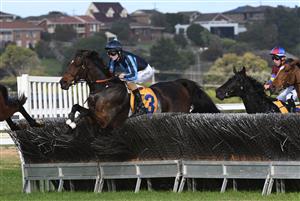 WARRNAMBOOL, AUSTRALIA - MAY 04: Darryl Horner jnr riding Flying Agent jumps in the first lap before winning in Race 6, the 3yb Scotty Stewart Brierly Steeplechase, on Brierly Day during the Warrnambool Jumps Carnival at Warrnambool Racing Club on May 04, 2021 in Warrnambool, Australia. (Photo by Vince Caligiuri/Getty Images)