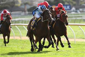 WARRNAMBOOL, AUSTRALIA - MAY 04: Darryl Horner Jnr riding Out And Dreaming winning Race 1, Welcome Back To The Bool Maiden Hurdle on Brierly Day during the Warrnambool Jumps Carnival at Warrnambool Racing Club on May 04, 2021 in Warrnambool, Australia. (Photo by Vince Caligiuri/Getty Images)