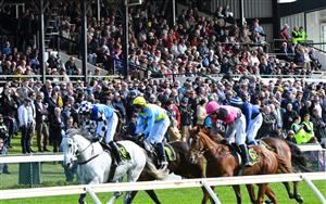 WARRNAMBOOL, AUSTRALIA - MAY 04: Steven Pateman riding Mawaany Machine winning Race 3, the George Taylor Memorial Maiden Hurdle, on Brierly Day during the Warrnambool Jumps Carnival at Warrnambool Racing Club on May 04, 2021 in Warrnambool, Australia. (Photo by Vince Caligiuri/Getty Images)