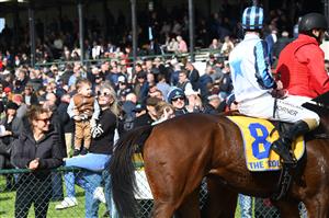 WARRNAMBOOL, AUSTRALIA - MAY 04: Darryl Horner Jnr riding Out And Dreaming and is greeted by his wife Jessica (Beriman) and son Billy after winning Race 1, Welcome Back To The Bool Maiden Hurdle on Brierly Day during the Warrnambool Jumps Carnival at Warrnambool Racing Club on May 04, 2021 in Warrnambool, Australia. (Photo by Vince Caligiuri/Getty Images)