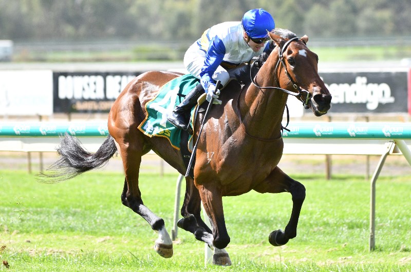 South Australian Derby Tips