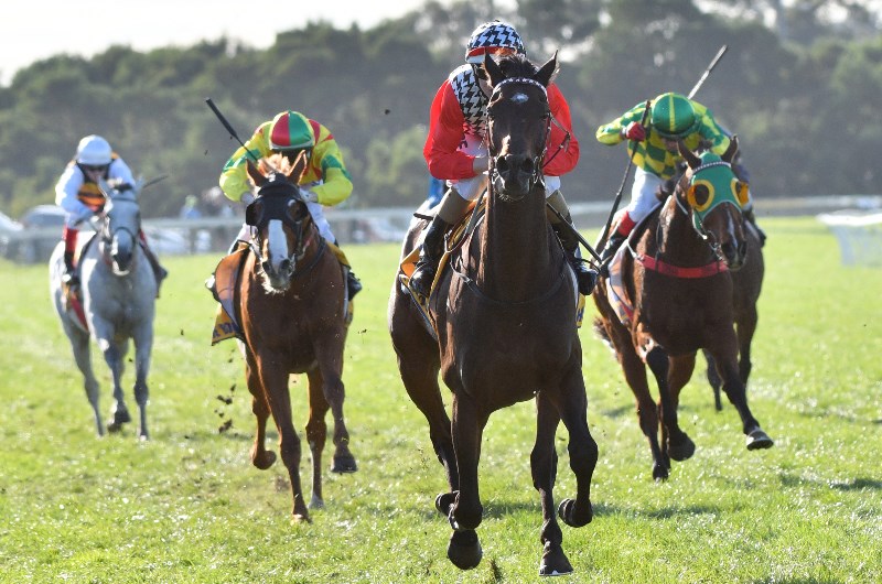 Warrnambool Cup