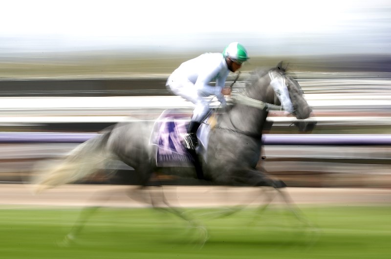 Caulfield Betting Tips