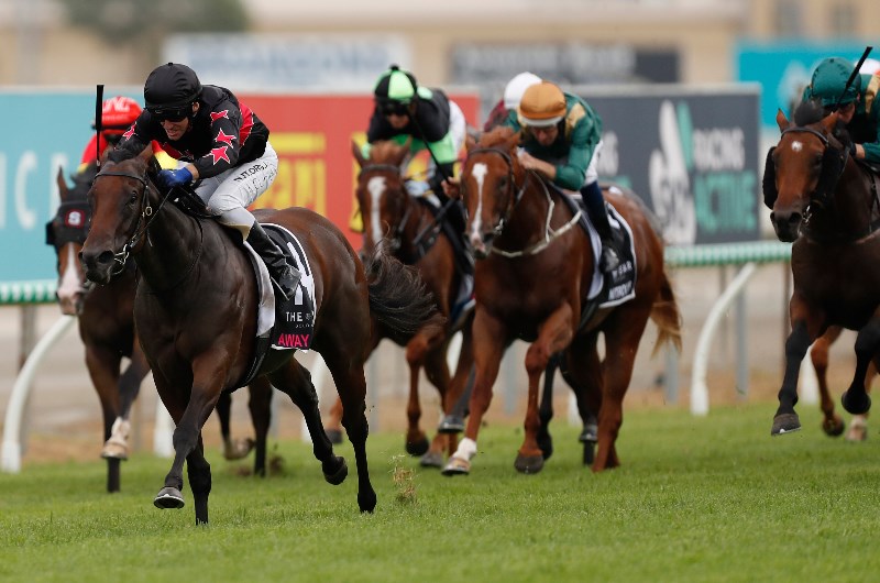Gold Coast Betting Tips