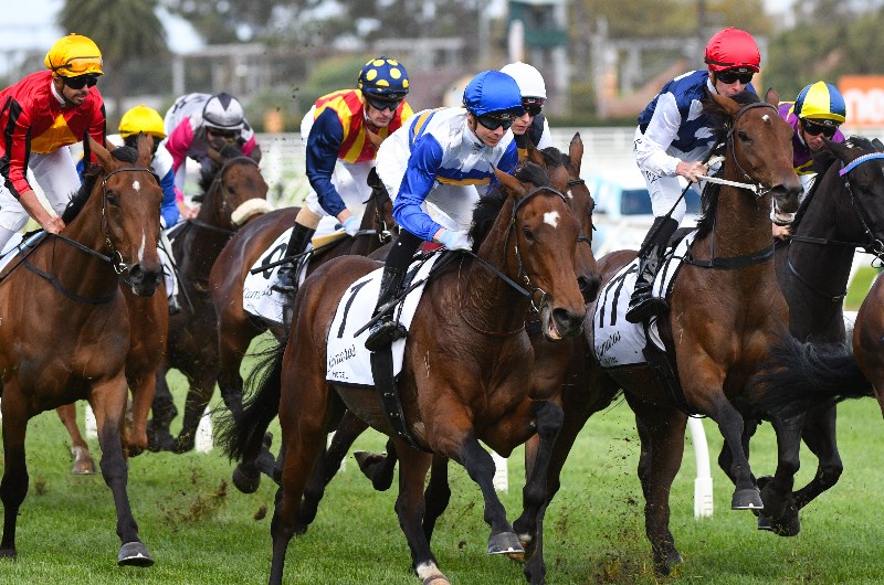 Morphettville Tips for 08.05.2021