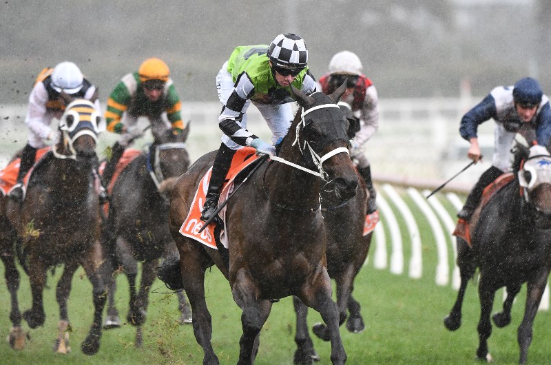 Wagga Tips for 07.05.2021
