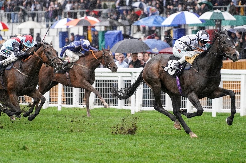 raising and ascot