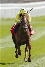 CHESTER, ENGLAND - MAY 06: Andrea Atzeni riding El Drama win The tote+ Biggest Dividends At tote.co.uk Dee Stakes at Chester Racecourse on May 06, 2021 in Chester, England. Only owners are allowed to attend the meeting but the public must wait until further restrictions are lifted. (Photo by Alan Crowhurst/Getty Images)