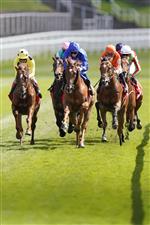 CHESTER, ENGLAND - MAY 06: Andrea Atzeni riding El Drama (L, yellow) on their way to winning The tote+ Biggest Dividends At tote.co.uk Dee Stakes at Chester Racecourse on May 06, 2021 in Chester, England. Only owners are allowed to attend the meeting but the public must wait until further restrictions are lifted. (Photo by Alan Crowhurst/Getty Images)
