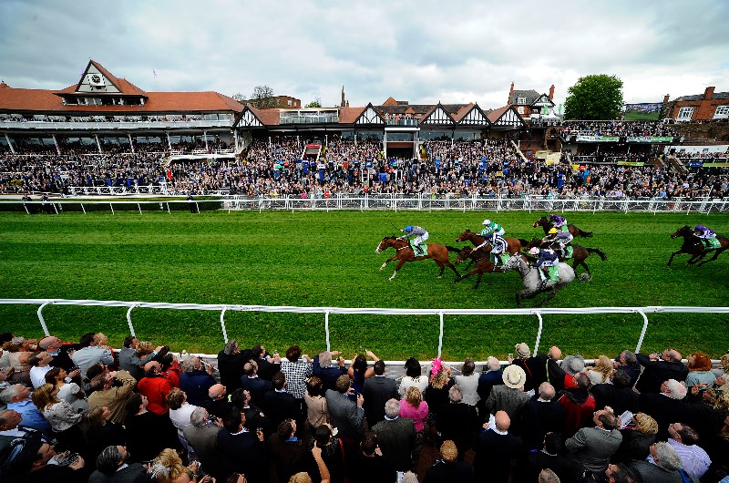 chester cup races