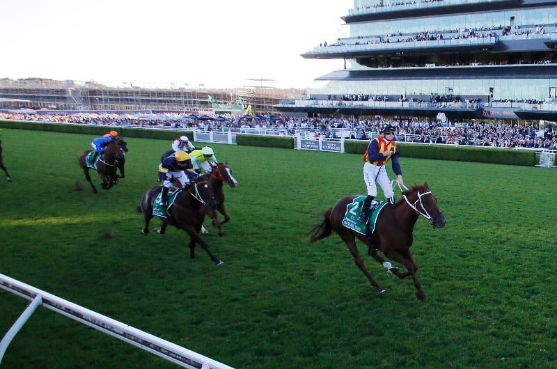 Best Sprinter, Nature Strip