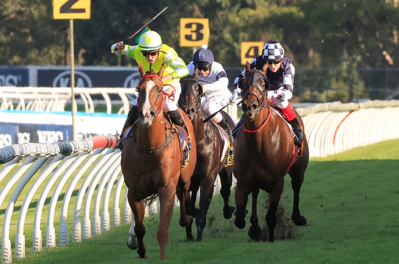 Doomben 10,000 Betting Odds