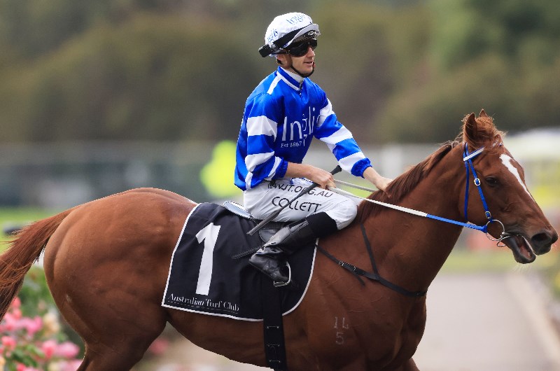 The Goodwood Betting Odds