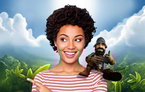 triple cash or crash betsoft