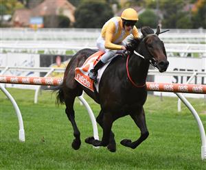 MELBOURNE, AUSTRALIA - MAY 08: Lachlan Neindorf riding Running Cloud winning Race 8, the Rod Fenwick Handicap, during Melbourne Racing at Caulfield Racecourse on May 08, 2021 in Melbourne, Australia. (Photo by Vince Caligiuri/Getty Images)