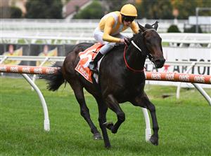 MELBOURNE, AUSTRALIA - MAY 08: Lachlan Neindorf riding Running Cloud winning Race 8, the Rod Fenwick Handicap, during Melbourne Racing at Caulfield Racecourse on May 08, 2021 in Melbourne, Australia. (Photo by Vince Caligiuri/Getty Images)