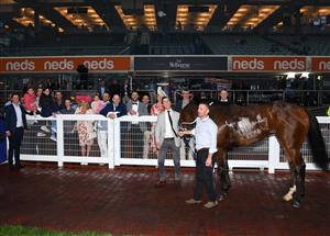 MELBOURNE, AUSTRALIA - MAY 08: Ayrton after winning Race 9, the Darren Gauci Handicap, during Melbourne Racing at Caulfield Racecourse on May 08, 2021 in Melbourne, Australia. (Photo by Vince Caligiuri/Getty Images)