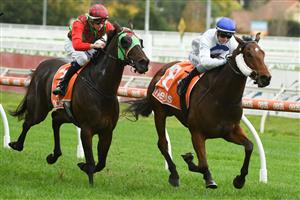 MELBOURNE, AUSTRALIA - MAY 08: Jamie Kah riding Streetcar Stranger winning race 6, the Thomas North Handicap, during Melbourne Racing at Caulfield Racecourse on May 08, 2021 in Melbourne, Australia. (Photo by Vince Caligiuri/Getty Images)