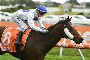 MELBOURNE, AUSTRALIA - MAY 08: Jamie Kah riding Streetcar Stranger winning race 6, the Thomas North Handicap, during Melbourne Racing at Caulfield Racecourse on May 08, 2021 in Melbourne, Australia. (Photo by Vince Caligiuri/Getty Images)