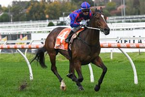 MELBOURNE, AUSTRALIA - MAY 08: Jamie Kah makes in five winners for the day after riding Ayrton to win Race 9, the Darren Gauci Handicap, during Melbourne Racing at Caulfield Racecourse on May 08, 2021 in Melbourne, Australia. (Photo by Vince Caligiuri/Getty Images)