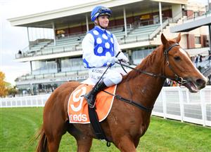 MELBOURNE, AUSTRALIA - MAY 08: Jamie Kah riding Pintoff after winning Race 4, the Ian Miller Handicap, during Melbourne Racing at Caulfield Racecourse on May 08, 2021 in Melbourne, Australia. (Photo by Vince Caligiuri/Getty Images)
