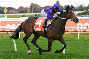 MELBOURNE, AUSTRALIA - MAY 08: Jamie Kah makes in five winners for the day after riding Ayrton to win Race 9, the Darren Gauci Handicap, during Melbourne Racing at Caulfield Racecourse on May 08, 2021 in Melbourne, Australia. (Photo by Vince Caligiuri/Getty Images)