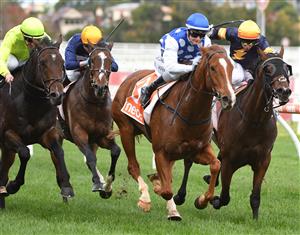 MELBOURNE, AUSTRALIA - MAY 08: Jamie Kah riding Pintoff winning Race 4, the Ian Miller Handicap, during Melbourne Racing at Caulfield Racecourse on May 08, 2021 in Melbourne, Australia. (Photo by Vince Caligiuri/Getty Images)