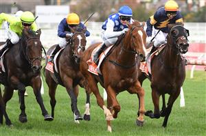 MELBOURNE, AUSTRALIA - MAY 08: Jamie Kah riding Pintoff winning Race 4, the Ian Miller Handicap, during Melbourne Racing at Caulfield Racecourse on May 08, 2021 in Melbourne, Australia. (Photo by Vince Caligiuri/Getty Images)
