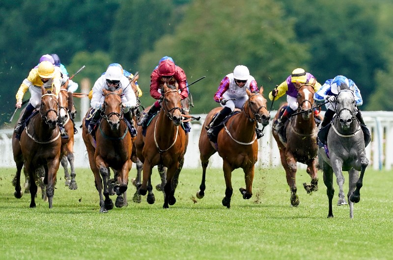 Art Power ascot