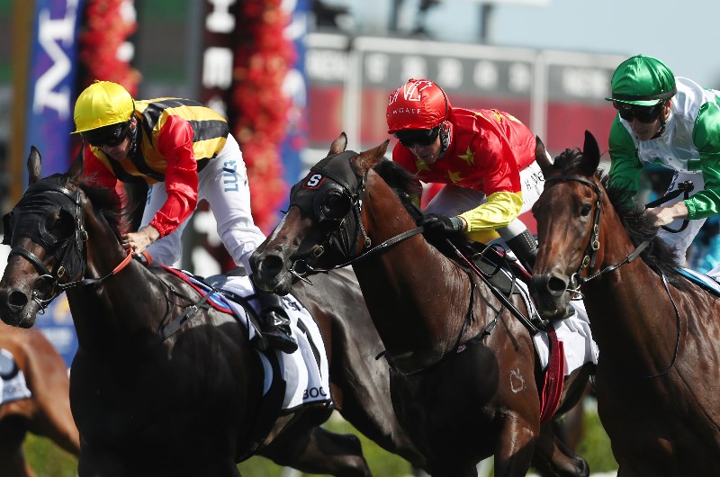 Gold Coast Betting Tips